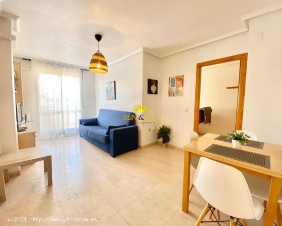 Apartamento en alquiler en Torrevieja (Alicante)