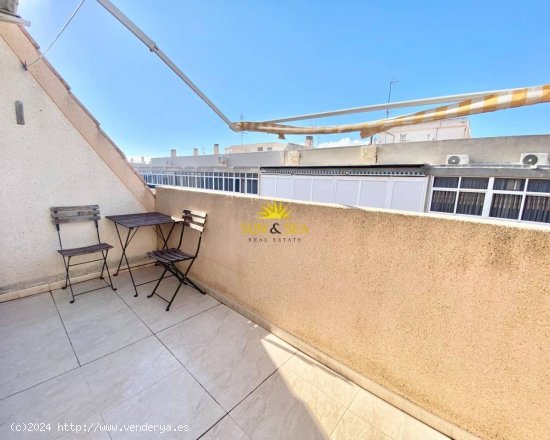 Apartamento en alquiler en Torrevieja (Alicante)