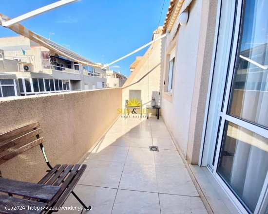 Apartamento en alquiler en Torrevieja (Alicante)