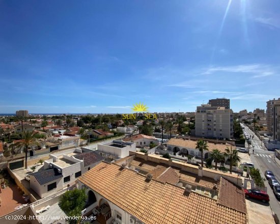 Apartamento en alquiler en Torrevieja (Alicante)