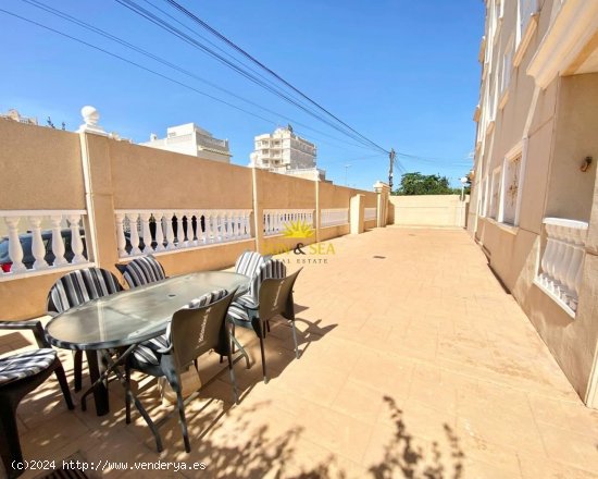 Apartamento en alquiler en Torrevieja (Alicante)