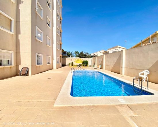 Apartamento en alquiler en Torrevieja (Alicante)