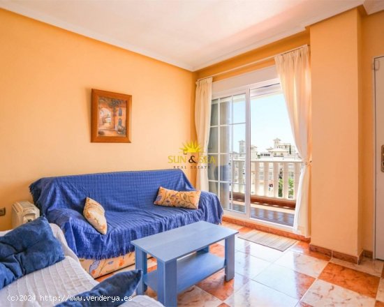 Apartamento en alquiler en Orihuela (Alicante)