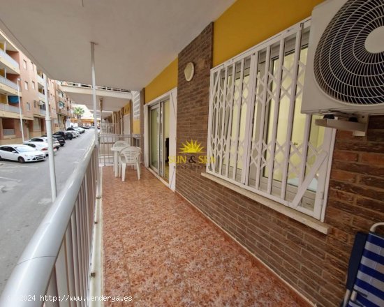 Apartamento en alquiler en Guardamar del Segura (Alicante)