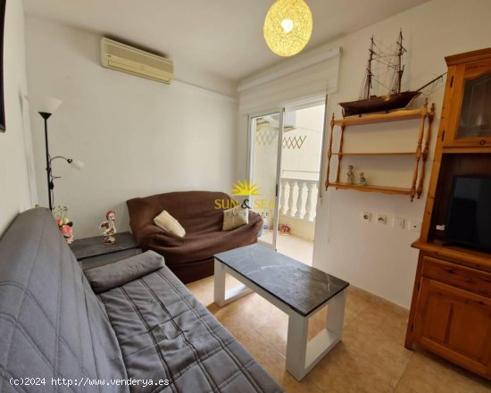 Apartamento en alquiler en Torrevieja (Alicante)