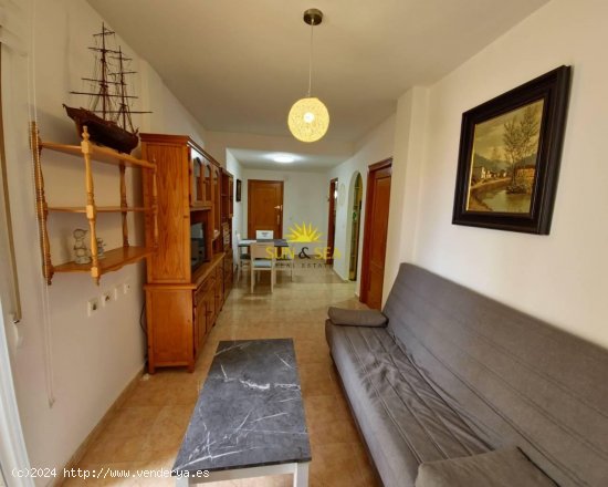 Apartamento en alquiler en Torrevieja (Alicante)