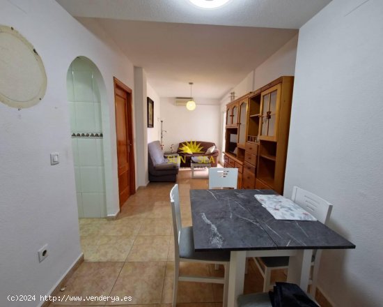 Apartamento en alquiler en Torrevieja (Alicante)