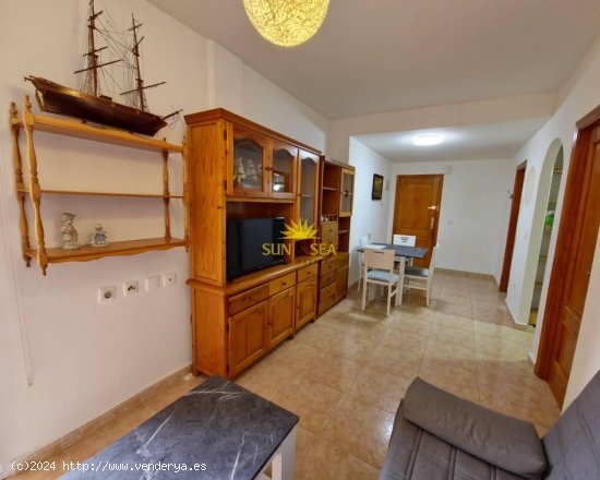 Apartamento en alquiler en Torrevieja (Alicante)