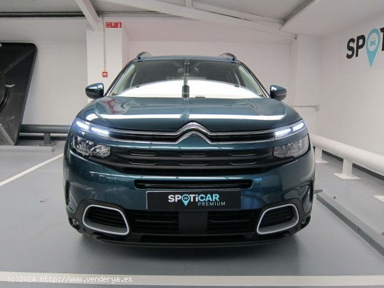 Citroën C5 Aircross  PureTech 96kW (130CV) S&S Feel - Lleida