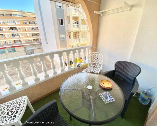 Apartamento en alquiler en Torrevieja (Alicante)