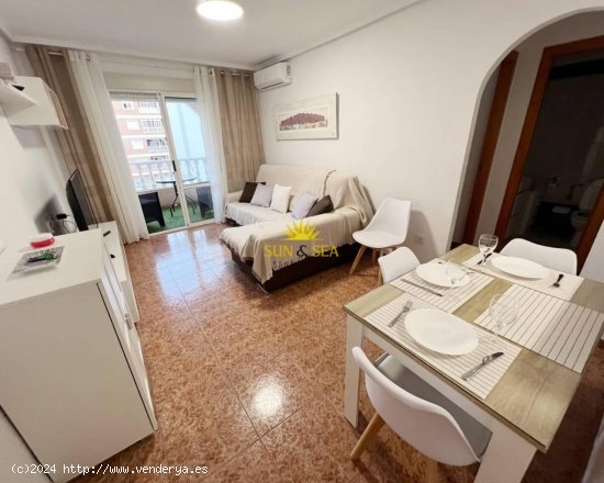 Apartamento en alquiler en Torrevieja (Alicante)