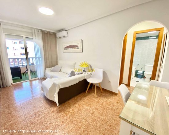 Apartamento en alquiler en Torrevieja (Alicante)