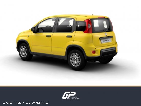 Fiat Panda Panda 1.0 Hybrid 51kW (70cv) - Rascanya