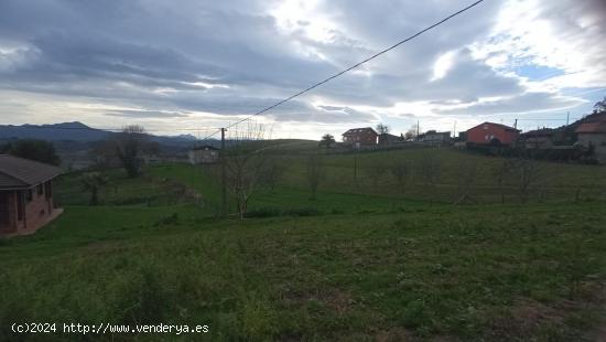 Terreno en Sariego - ASTURIAS