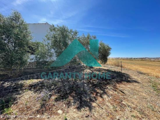 SE VENDE FINCA CON CASA DE CAMPO EN TORREORGAZ - CACERES