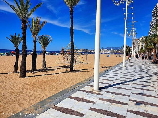  Reformado, moderno y con vistas - ALICANTE 