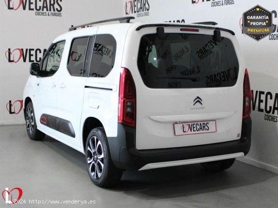 Citroën Berlingo Talla M BlueHDi 130 S&S 6v SHINE - VIgo