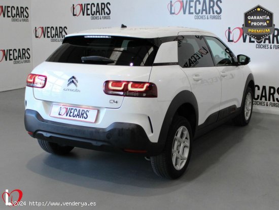 Citroën C4 Cactus BlueHDi 100 S&S Feel - VIgo