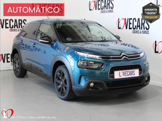  Citroën C4 Cactus BlueHDi 120 S&S EAT6 Shine - VIgo 