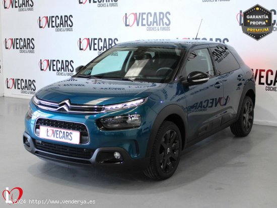 Citroën C4 Cactus BlueHDi 120 S&S EAT6 Shine - VIgo