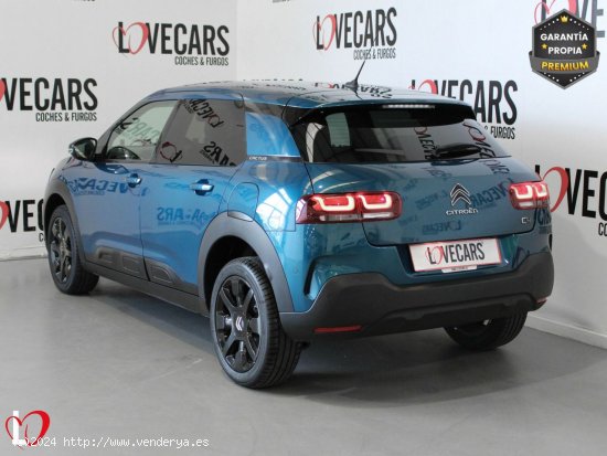 Citroën C4 Cactus BlueHDi 120 S&S EAT6 Shine - VIgo