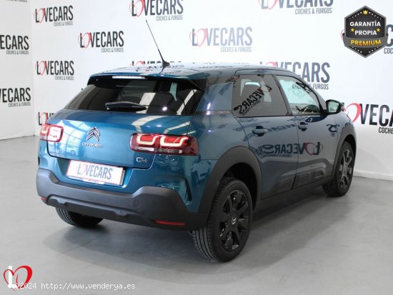 Citroën C4 Cactus BlueHDi 120 S&S EAT6 Shine - VIgo