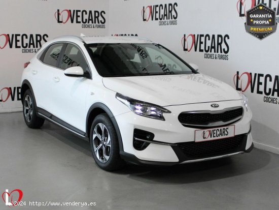  Kia XCeed 1.6 MHEV iMT Business 100kW (136CV) - VIgo 