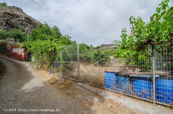  Se Vende en Vega de San Mateo - LAS PALMAS 