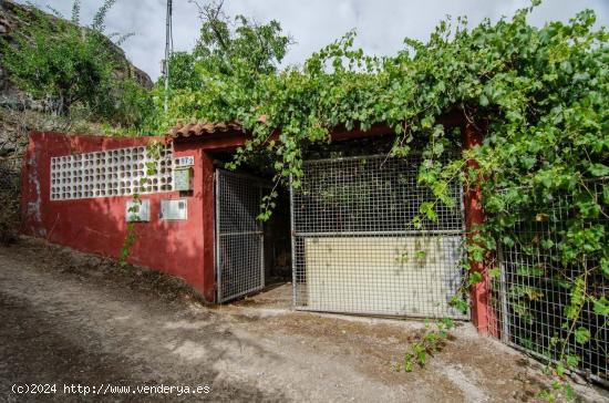 Se Vende en Vega de San Mateo - LAS PALMAS