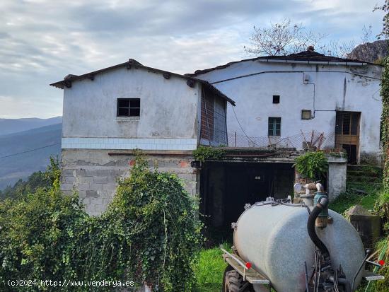 CASA, CAPILLA Y FINCA EN LOREDO EN VENTA - ASTURIAS