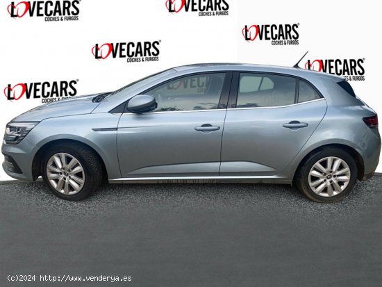 Renault Megane Business Blue dCi 85 kW (115CV) - VIgo