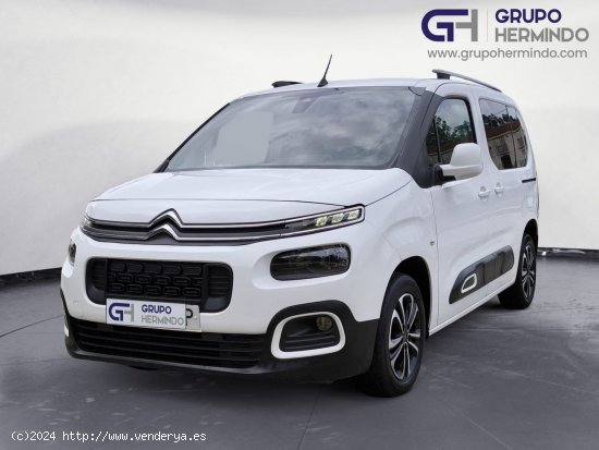 Citroën Berlingo TALLA M BLUE HDI 100 CV FEEL - Ponteareas