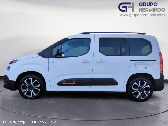 Citroën Berlingo TALLA M BLUE HDI 100 CV SHINE - Ponteareas