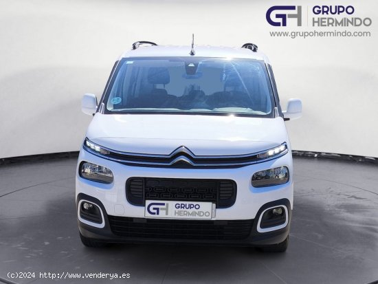 Citroën Berlingo TALLA M FEEL BLUE HDI 100 CV - Ponteareas