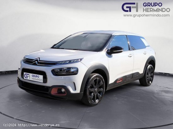 Citroën C4 Cactus BLUE HDI 100 CV SHINE - Ponteareas