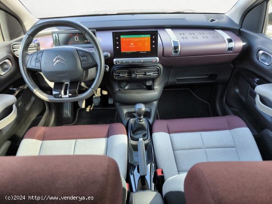 Citroën C4 Cactus BLUE HDI 100 CV SHINE - Ponteareas