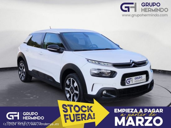  Citroën C4 Cactus SHINE BLUE HDI 120 CV EAT6 - Ponteareas 