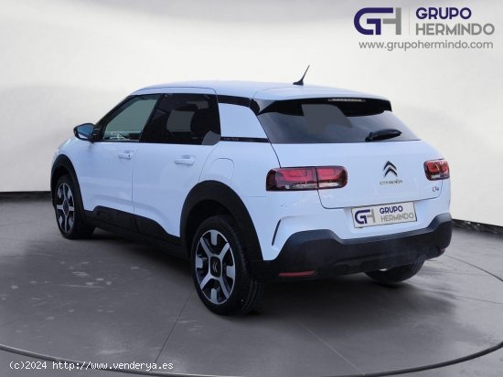 Citroën C4 Cactus SHINE BLUE HDI 120 CV EAT6 - Ponteareas