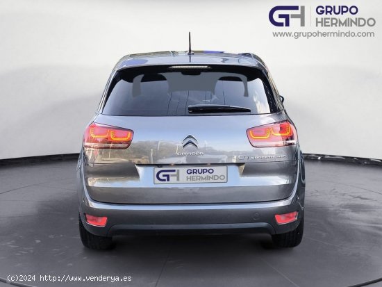 Citroën C4 Spacetourer 1.6 BLUE HDI 120 CV SHINE + TECHO PANORAMICO - Ponteareas