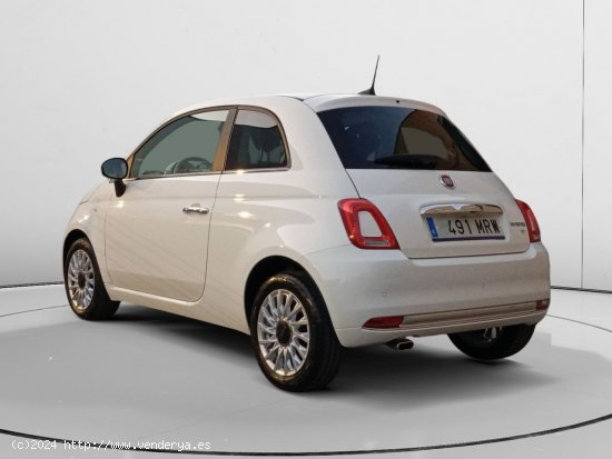 Fiat 500 Monotrim - 