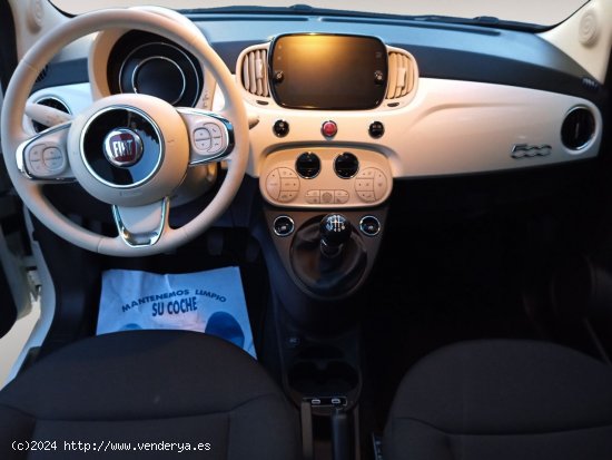 Fiat 500 Monotrim - 