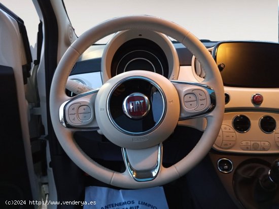 Fiat 500 Monotrim - 