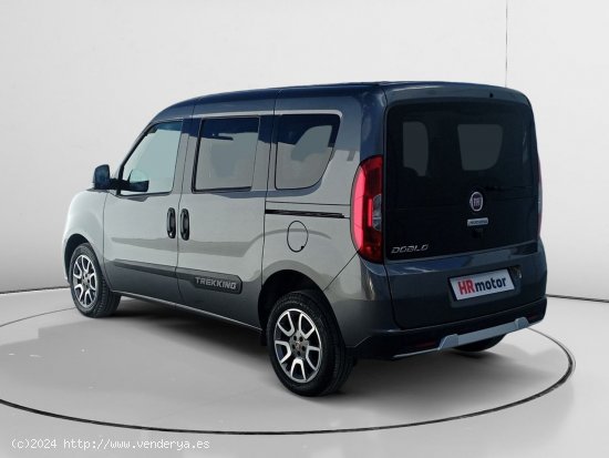 Fiat Doblò Cargo Trekking Combi - Murcia