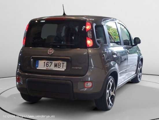 Fiat Panda Sport - Pamplona