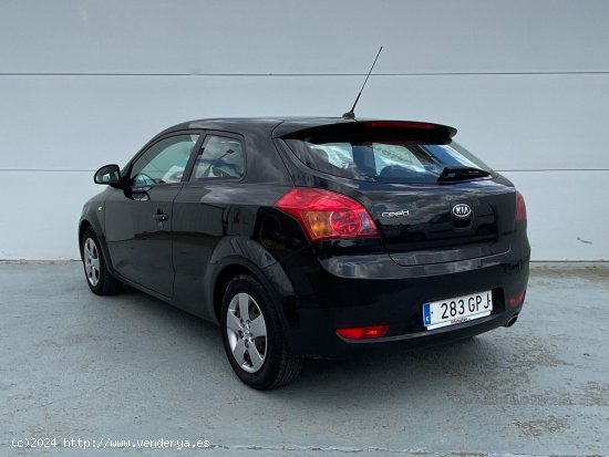 Kia Ceed Active - Fontellas