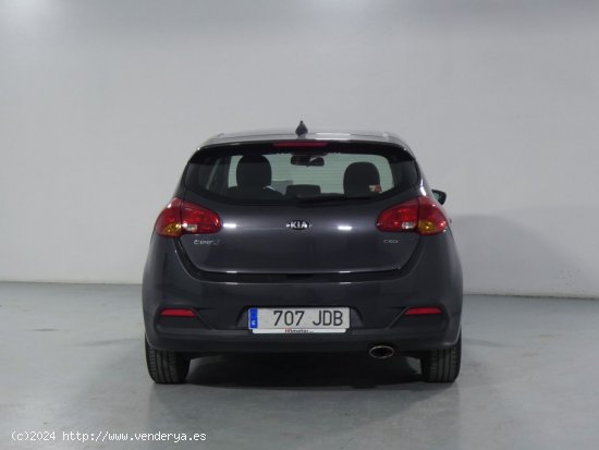 Kia Ceed Business - Alicante