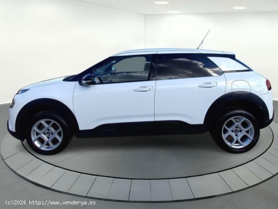 Citroën C4 Cactus FEEL 1.5 BLUE HDI 100 CV MT6 E6DT - LEGANES