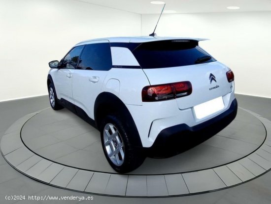 Citroën C4 Cactus FEEL 1.5 BLUE HDI 100 CV MT6 E6DT - LEGANES