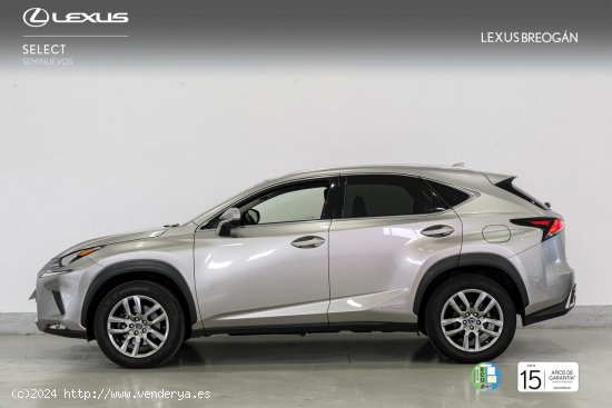 Lexus NX 300H EXECUTIVE KICK POWER NAVIGATION LEXUS NX en Galicia: A Coruña, Santiago, Lugo y Ponte