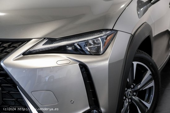 Lexus UX 250H LUXURY Lexus UX en Galicia: A Coruña, Santiago, Lugo y Pontevedra. - A Coruña